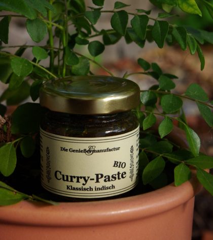 Curry, Currypaste indisch in einem Gläschen, welches vor einer Pflanze drapiert wurde