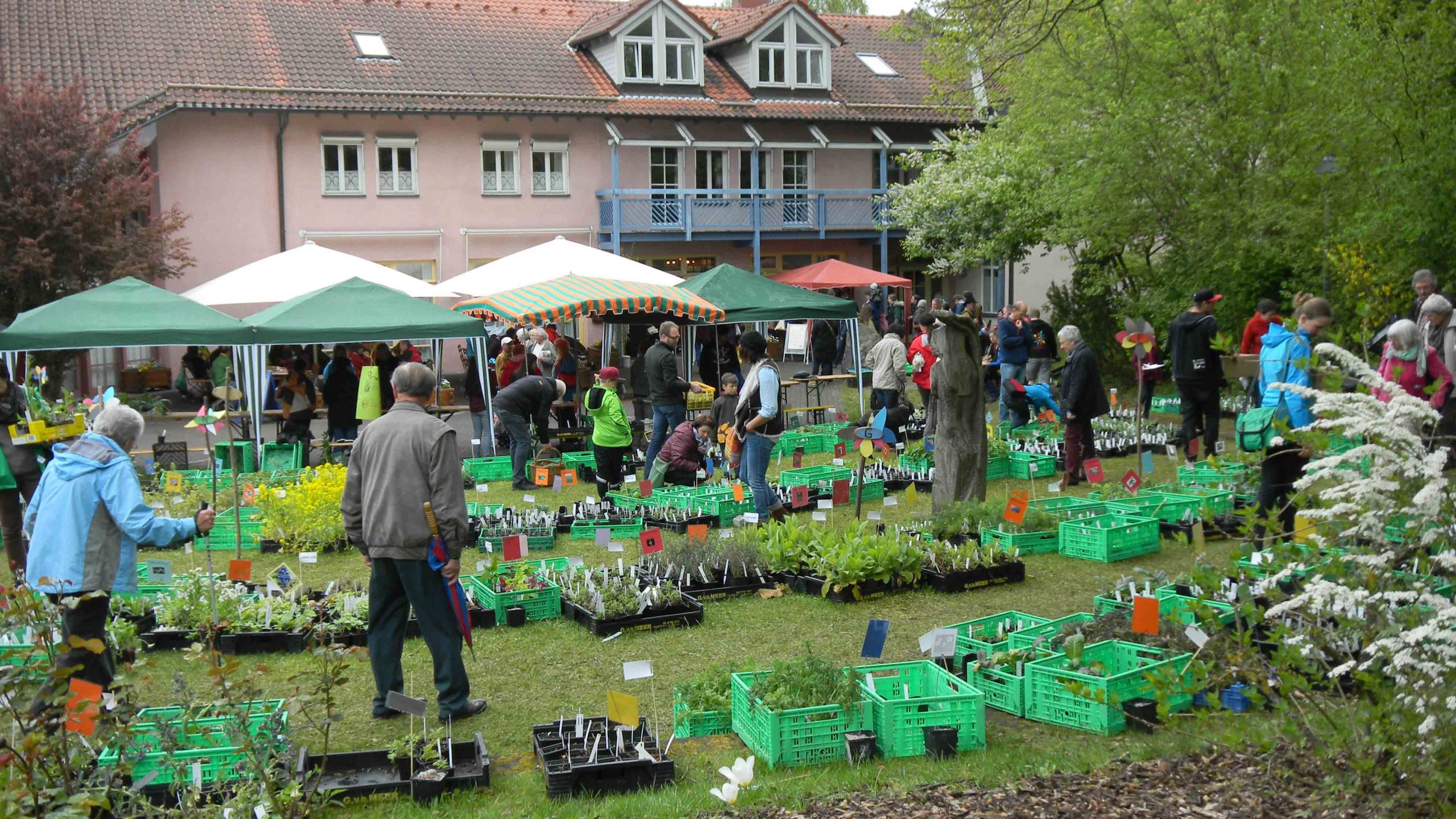 SOS-Kinderdorf, Hohenrother Kräutertag, ein Bild das den Kräuteraufbau für den Verkauf zeigt