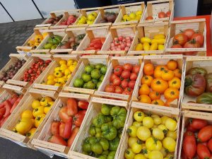 Bunte Tomatenvielfalt Nahrungsquellen Ökokiste Schwarzach