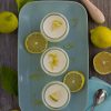 Feine Zitronencreme in Dessertgläsern, angerichtet auf einer türkisfarbenen rechtekcigen Schale und dekoriert mit Zitronen und Zitronenscheiben.