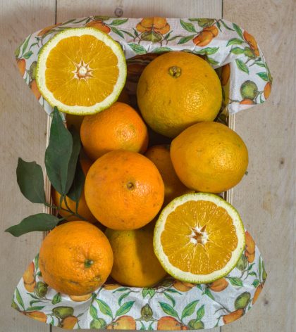 Sizilianische Orangen direkt vom Baum