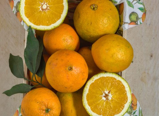 Sizilianische Orangen direkt vom Baum